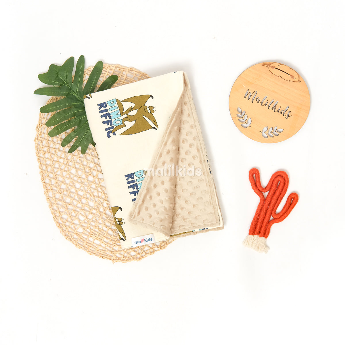 Minky Blanket - Dino Riffic